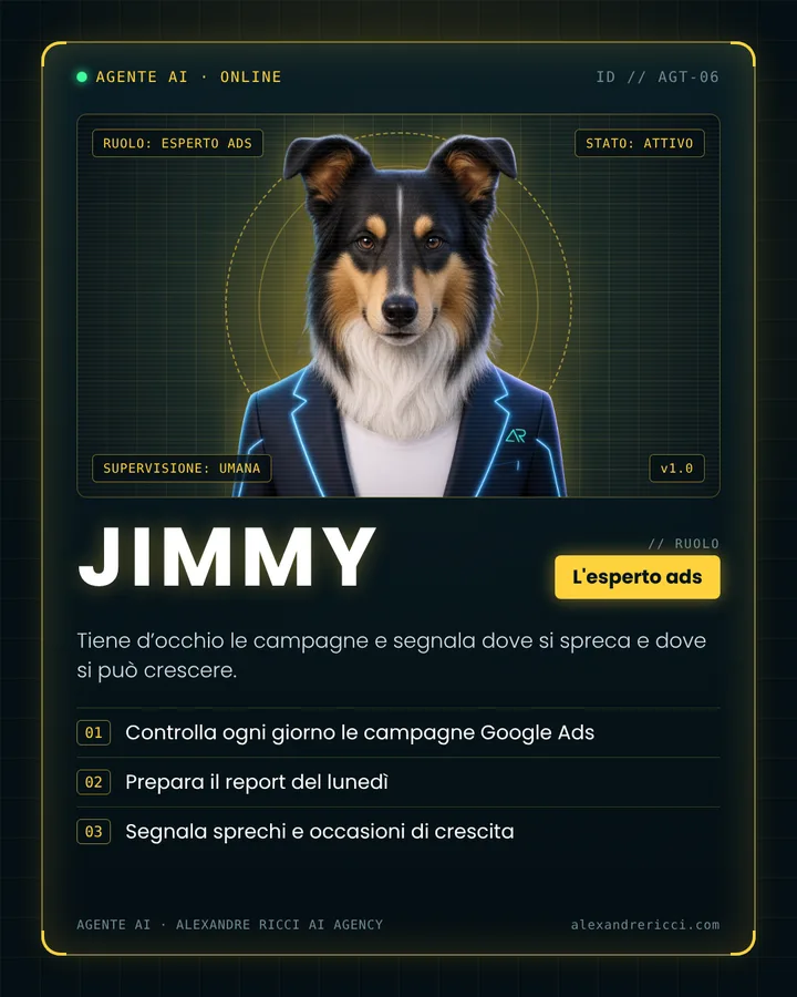Jimmy, L’esperto ads, agente AI
