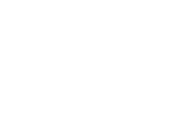 Logo Stefano Sottile